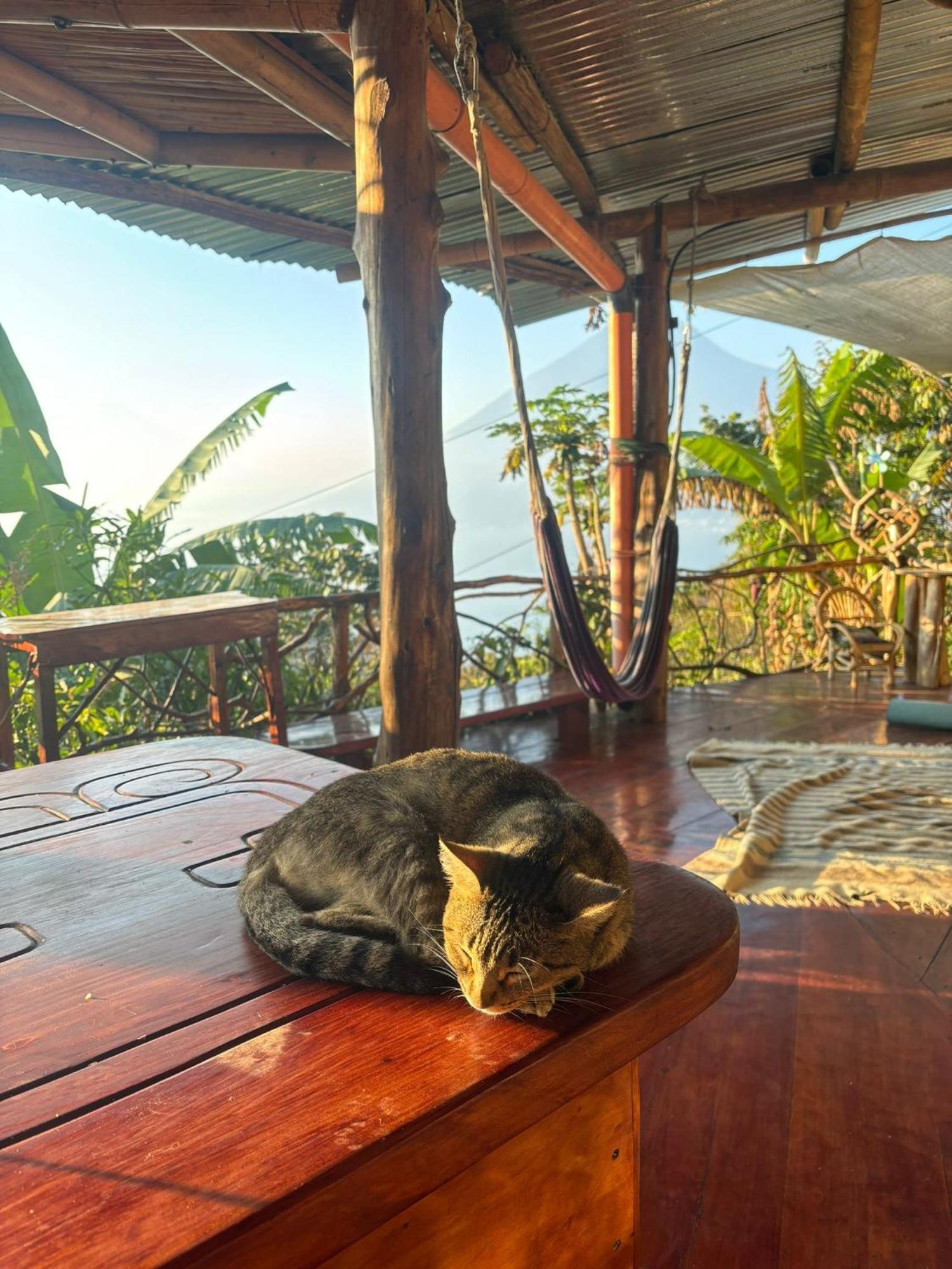 Country house Earthship Amazing With View